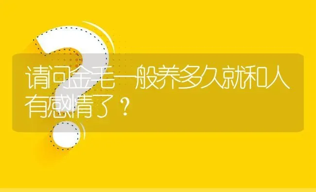 请问金毛一般养多久就和人有感情了？ | 动物养殖问答