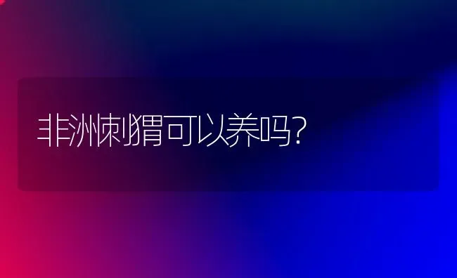 非洲刺猬可以养吗？ | 动物养殖问答