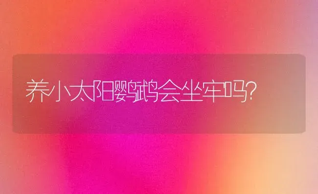 养小太阳鹦鹉会坐牢吗？ | 动物养殖问答