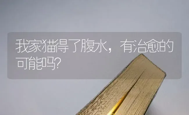 我家猫得了腹水，有治愈的可能吗？ | 动物养殖问答