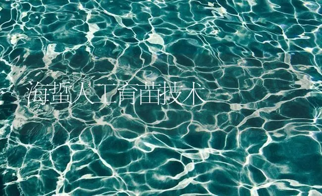 海蜇人工育苗技术 | 海水养殖技术