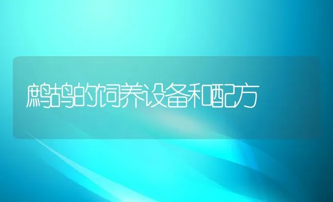 鹧鸪的饲养设备和配方 | 水产养殖知识