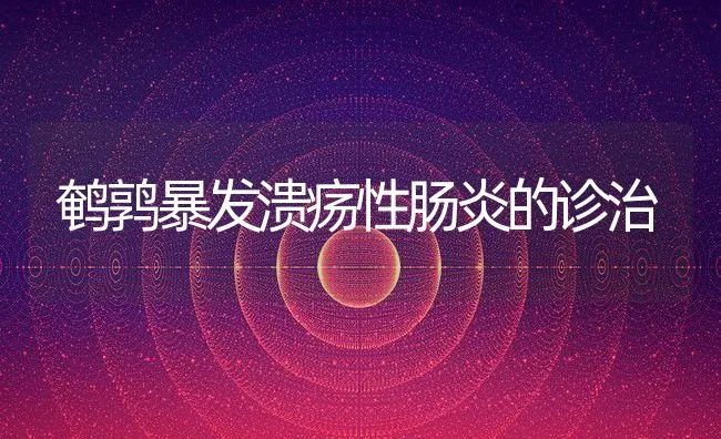 鹌鹑暴发溃疡性肠炎的诊治 | 动物养殖学堂