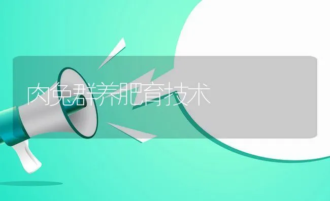 肉兔群养肥育技术 | 水产养殖知识