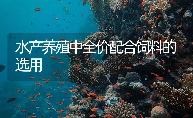 青蟹黄斑病的症状及防治 | 海水养殖技术