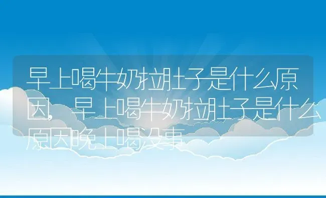 早上喝牛奶拉肚子是什么原因,早上喝牛奶拉肚子是什么原因晚上喝没事 | 宠物百科知识