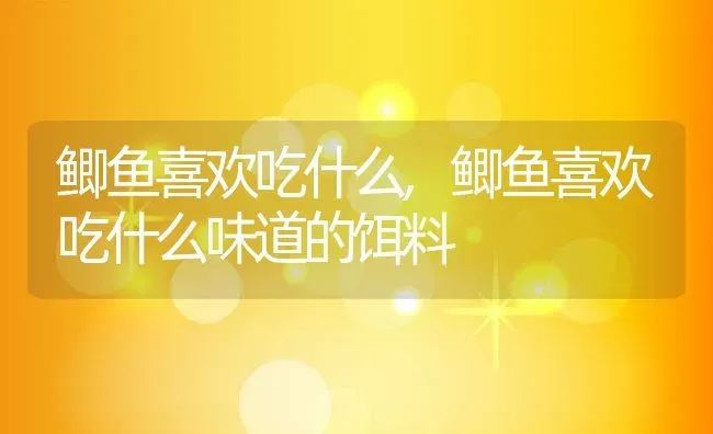 鲫鱼喜欢吃什么,鲫鱼喜欢吃什么味道的饵料 | 宠物百科知识