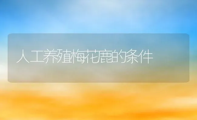 人工养殖梅花鹿的条件 | 动物养殖百科