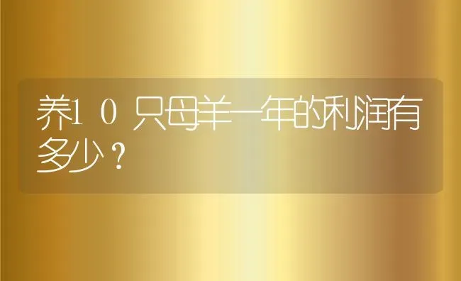 养10只母羊一年的利润有多少？ | 动物养殖百科