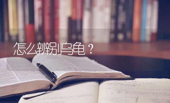 有一种狗狗长得很像羊，比较大型的狗，是什么品种啊？ | 动物养殖问答