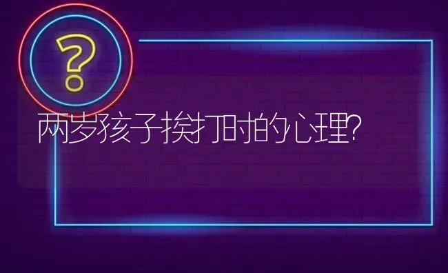 两岁孩子挨打时的心理？ | 动物养殖问答