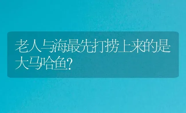 老人与海最先打捞上来的是大马哈鱼？ | 鱼类宠物饲养