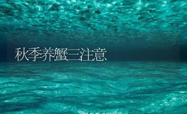 秋季养蟹三注意 | 海水养殖技术