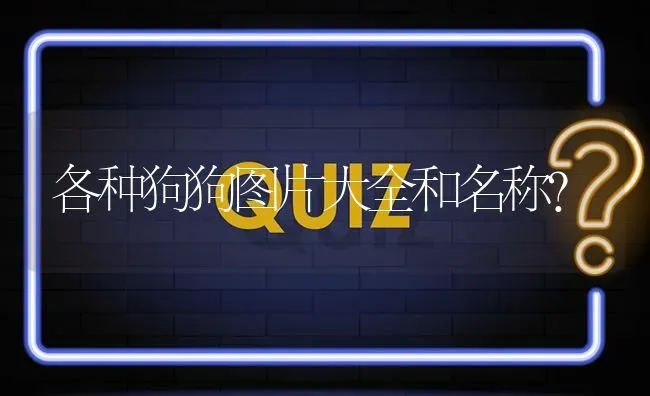 各种狗狗图片大全和名称？ | 动物养殖问答