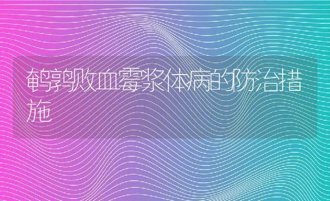 鹌鹑败血霉浆体病的防治措施 | 动物养殖学堂