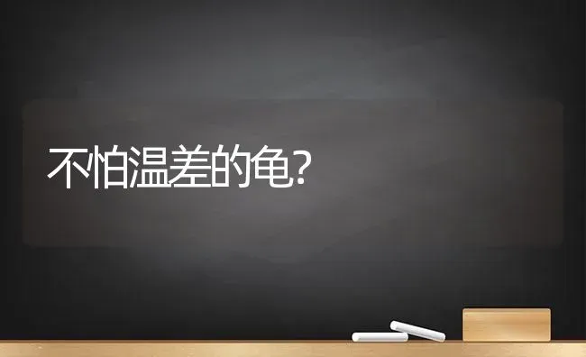 不怕温差的龟？ | 动物养殖问答