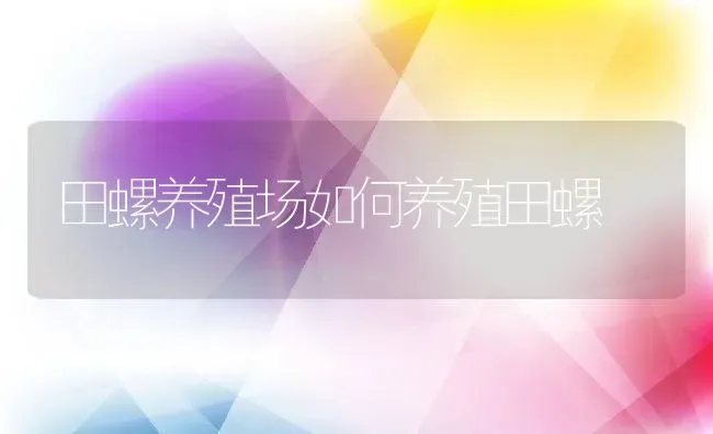 田螺养殖场如何养殖田螺 | 动物养殖百科