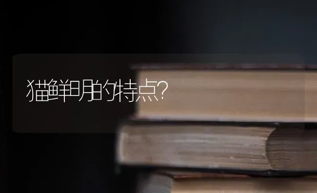 我家小边牧为什么眼睛蓝色的？求大神？ | 动物养殖问答