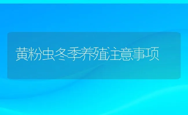 黄粉虫冬季养殖注意事项 | 动物养殖饲料