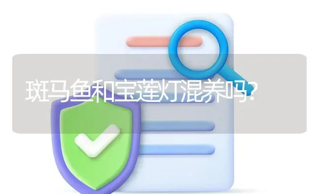 斑马鱼和宝莲灯混养吗？ | 鱼类宠物饲养