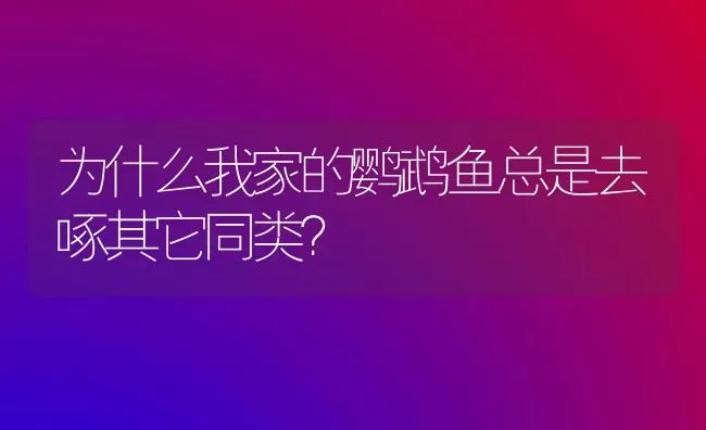 非洲灰鹦鹉为什么这么贵？ | 动物养殖问答