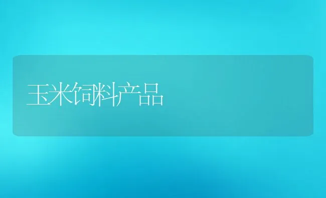 玉米饲料产品 | 动物养殖学堂