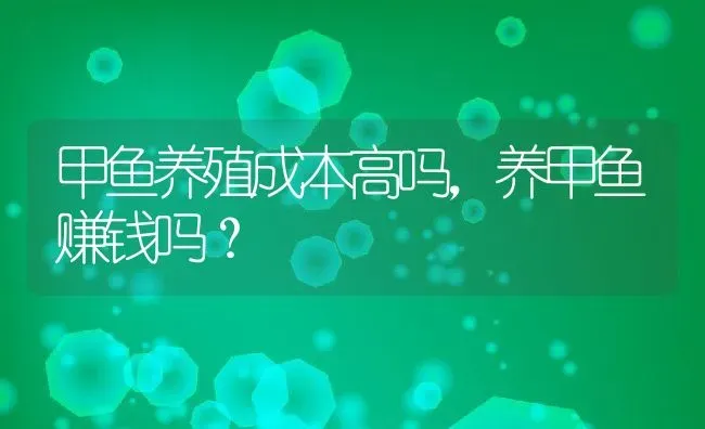 甲鱼养殖成本高吗，养甲鱼赚钱吗？ | 动物养殖百科