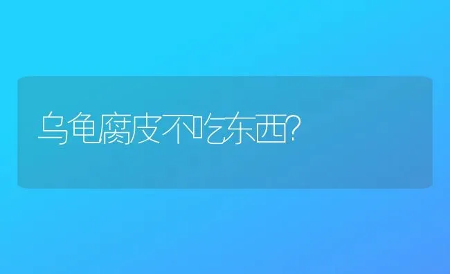 短耳朵猫什么品种？ | 动物养殖问答