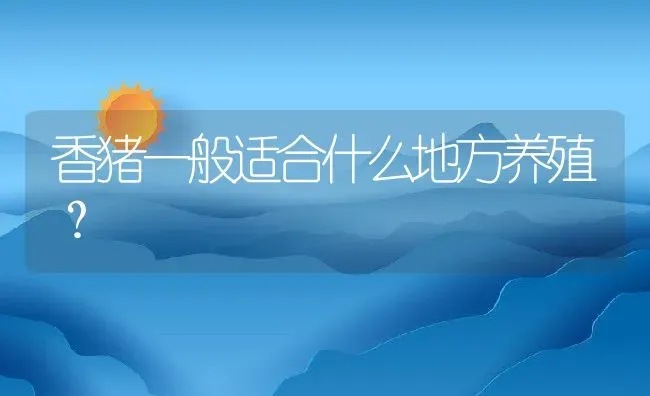 香猪一般适合什么地方养殖？ | 动物养殖百科