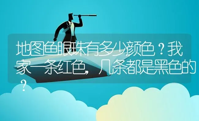 地图鱼眼珠有多少颜色？我家一条红色，几条都是黑色的？ | 鱼类宠物饲养