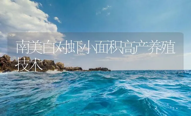 南美白对虾小面积高产养殖技术 | 海水养殖技术