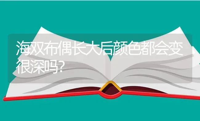 海双布偶长大后颜色都会变很深吗？ | 动物养殖问答