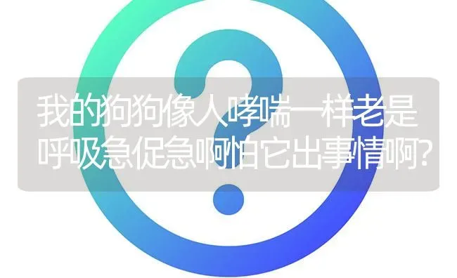 我的狗狗像人哮喘一样老是呼吸急促急啊怕它出事情啊？ | 动物养殖问答