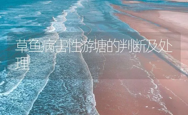 草鱼病害性游塘的判断及处理 | 海水养殖技术