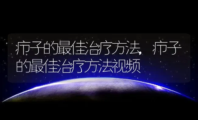 疖子的最佳治疗方法,疖子的最佳治疗方法视频 | 宠物百科知识