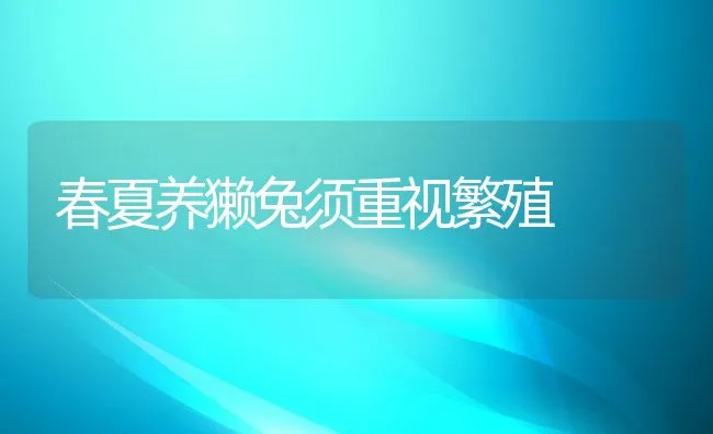 春夏养獭兔须重视繁殖 | 动物养殖学堂