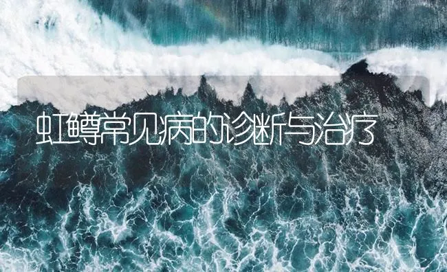 虹鳟常见病的诊断与治疗 | 海水养殖技术