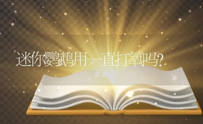 七彩神仙鱼养殖时间？ | 鱼类宠物饲养
