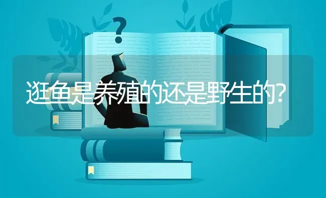 逛鱼是养殖的还是野生的？ | 鱼类宠物饲养