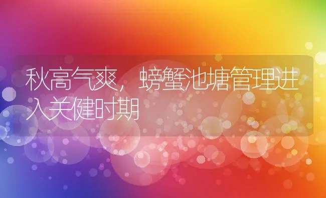 秋高气爽，螃蟹池塘管理进入关健时期 | 动物养殖百科