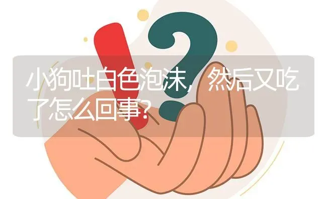 小狗吐白色泡沫，然后又吃了怎么回事？ | 动物养殖问答