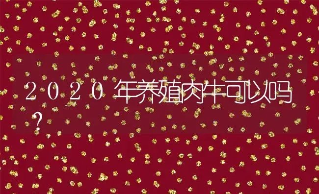 2020年养殖肉牛可以吗？ | 动物养殖百科