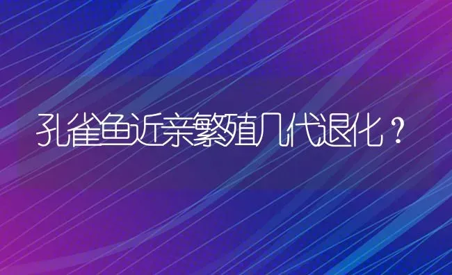 孔雀鱼近亲繁殖几代退化？ | 鱼类宠物饲养