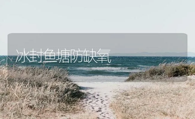 冰封鱼塘防缺氧 | 海水养殖技术