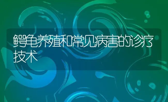 鳄龟养殖和常见病害的诊疗技术 | 水产养殖知识