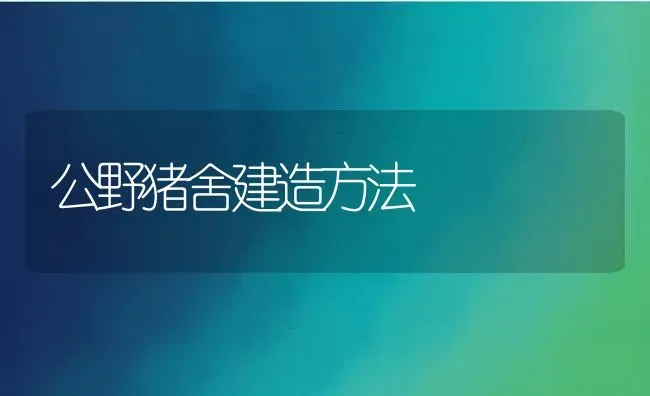 公野猪舍建造方法 | 动物养殖教程