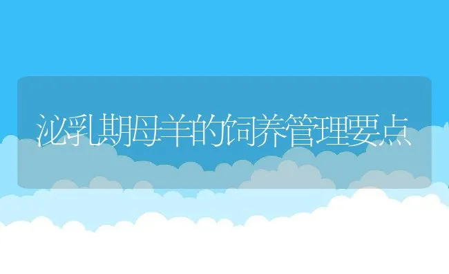 浙江大学开发出安全高效优质纳米型饲料添加剂 | 动物养殖学堂