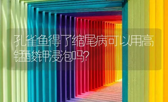 孔雀鱼得了缩尾病可以用高锰酸钾浸泡吗？ | 鱼类宠物饲养