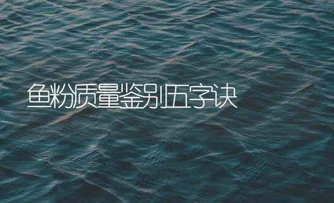 鱼粉质量鉴别五字诀 | 海水养殖技术