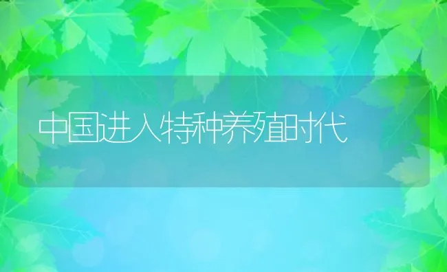 漫谈金鳟池塘流水高效养殖技术 | 海水养殖技术